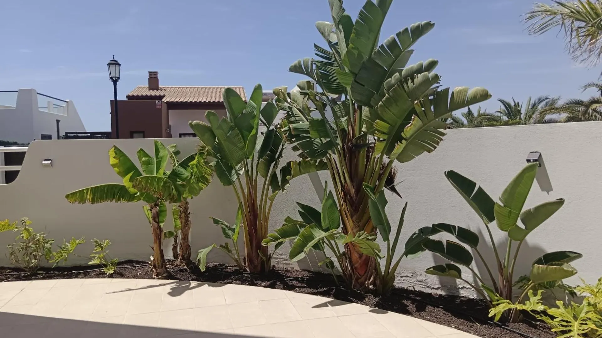 Homeforguest Flat With Large Terrace In Modern Residential Complex With Swimming Pool Caleta De Fuste Spanien